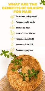 Brahmi Powder