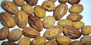 Harad Powder