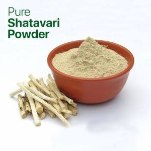 White Shatavari Powder