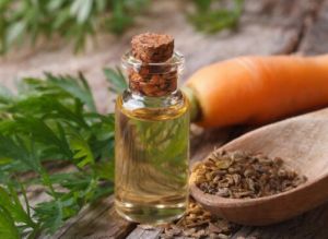 Carrot Seed Essential Oil