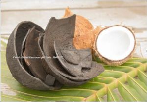 Coconut Shell Activated Carbon