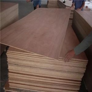 Poplar Board