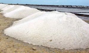 Washed Industrial Salt