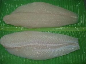 Frozen Pangasius Fillet