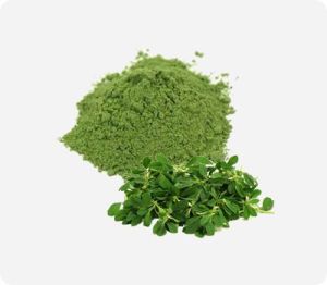 Fenugreek Leaves Powder