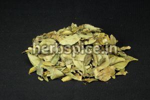 curry leaves