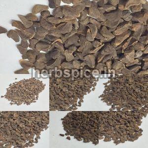 Peganum Harmala Seeds (Syrian Rue)