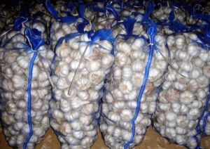Garlic Mesh Bags