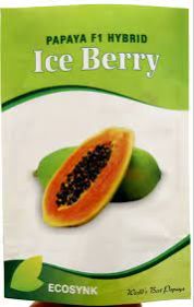 ice berry papaya seeds