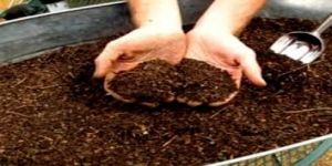 Organic Compost