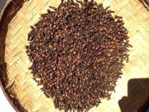 Dry Indian Cloves