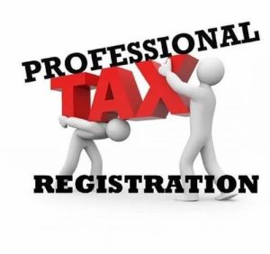 Professional Tax Registration Service