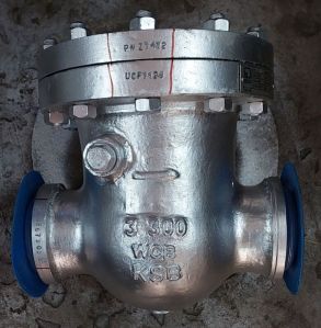 NRV Swing Type Check Valve
