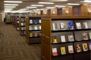 Library Book Shelves