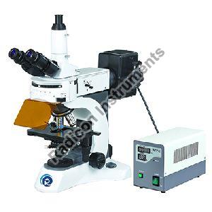 Radicon Trinocular Fluorescence Microscope