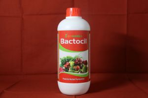 Bactocil Herbal Extract