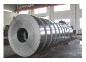 Stainless Steel Strip