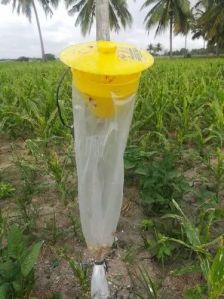 Plastic Funnel Trap