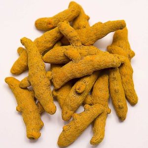 Salem Turmeric Finger