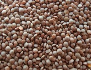 Black Masoor Dal