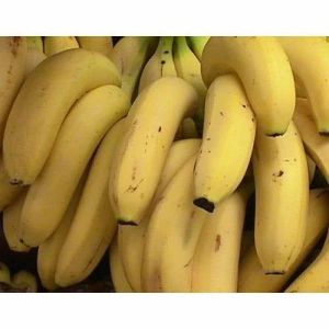 Fresh Banana