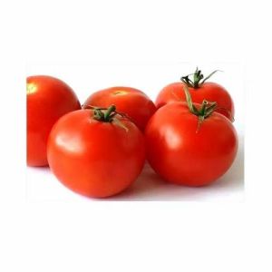 Fresh Tomato