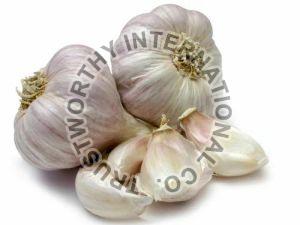 Fresh Garlic