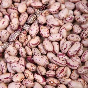 Speckled Kidney Beans