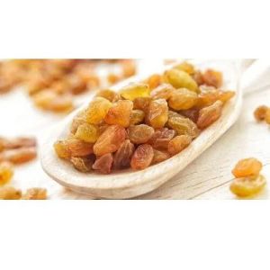 Golden Dry Raisins