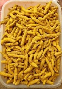 dried turmeric finger