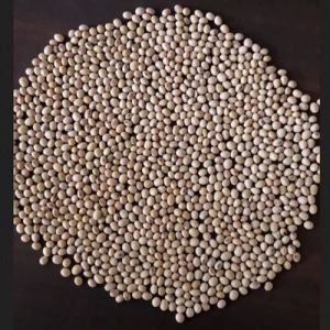 Soybean Seed