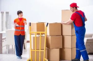 House Shifting Packer Mover Service