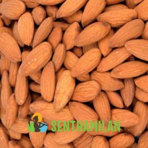 Californian Regular Almonds