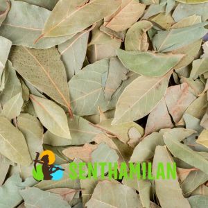 Dried Bay Leaf