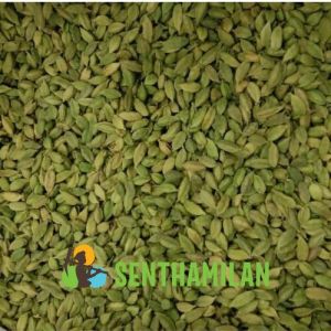 Green Cardamom 5.5mm-6.5mm