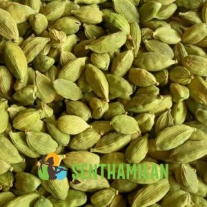 Green Cardamom 8mm