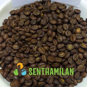 Robusta Roasted Coffee Bean