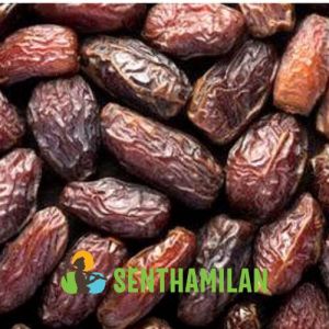 Saudi Medjool Dates