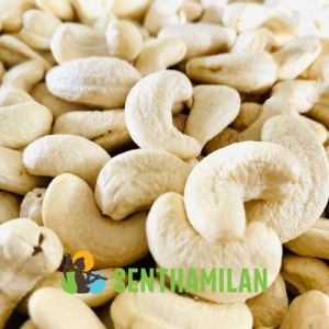 W240 Indian Cashew Nuts