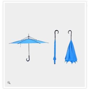 Reversible Umbrella