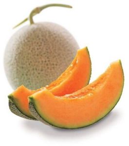 Fresh Muskmelon