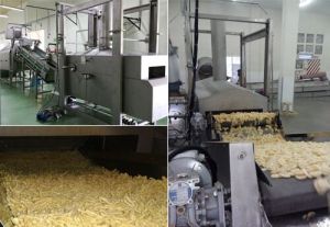 Extruded Snack Processing And Frying Line