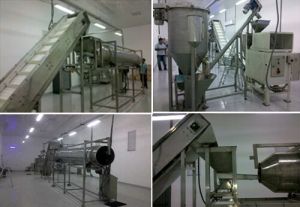 Extruded Snacks Processing Line