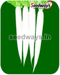 F1 Aishwarya Radish Seeds