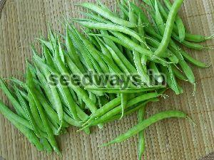 Research Durga 999 Cluster Beans Seeds