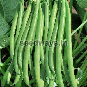 Research Menka Cluster Beans Seeds