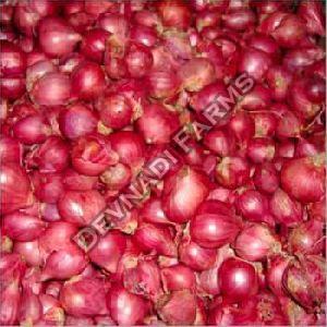 Small Red Onion