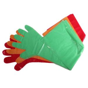veterinary gloves