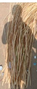 Bamboo Flat Sticks