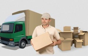 Packers & Movers Services